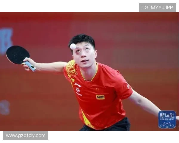 刘强回顾乒乓球生涯与成就分享的专访纪实